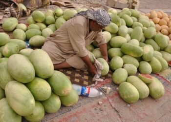 وزارة الزراعة العراقية تمنع استيراد فاكهة “الرقي والبطيخ” .