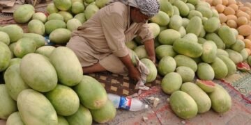 وزارة الزراعة العراقية تمنع استيراد فاكهة “الرقي والبطيخ” .