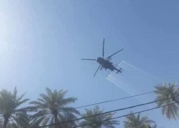 زراعة كربلاء .. تطلق حملة لمكافحة حشرة الدوباس في المحافظة .