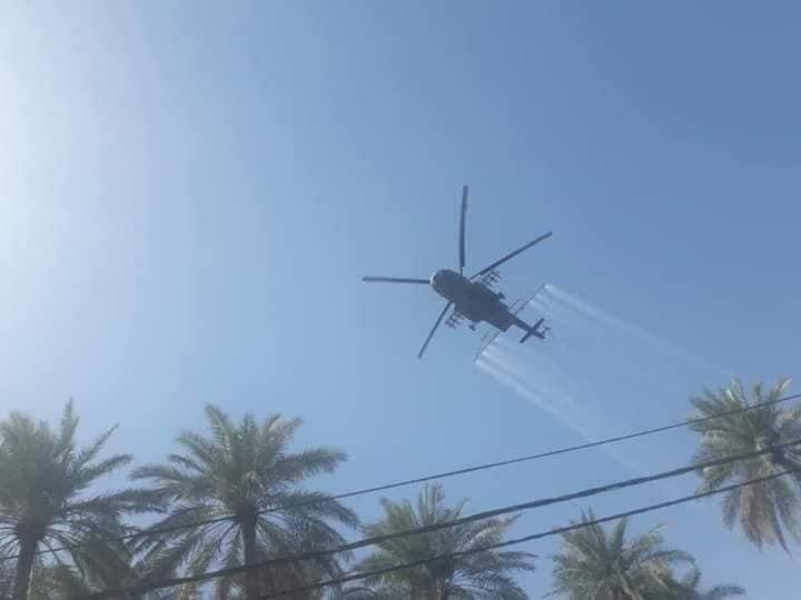 زراعة كربلاء .. تطلق حملة لمكافحة حشرة الدوباس في المحافظة .