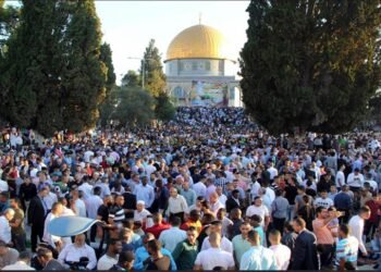 يلبي دعوة الصدر .. تحالف الفتح يشارك بالوقفة الاحتجاجية دعما لفلسطين .