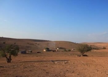 العتبتين الحسينية والعباسية تستثمر مليوني دونم في بادية السماوة