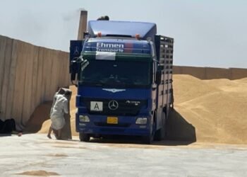 صلاح الدين بالمرتبة الثانية في انتاج الحنطة