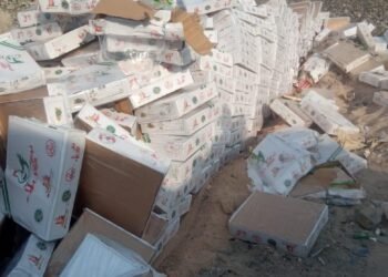 أحباط عملية تهريب دجاج عبر منفذ أم قصر