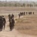 قوة من اللواء 56 في الحشد الشعبي يلقي القبض على أحد المطلوبين في كركوك