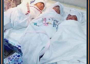 بظروف صعبة.. امرأة تنجب 3 توائم في كربلاء