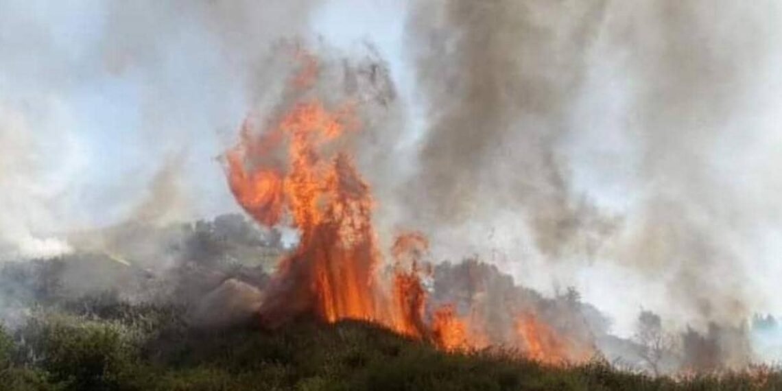 الحرائق تتجدد في سوريا بعد ساعات من اخمادها