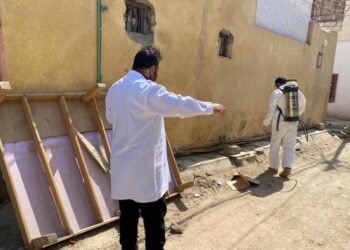 حملة جديدة لتطهير بؤرة الإصابات بالحمى النزفية .. ذي قار