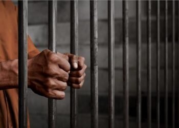 حكم الخاطف 15 عاما.. قصة طفل حرر نفسه ودل على خاطفه بصلاح الدين