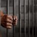 حكم الخاطف 15 عاما.. قصة طفل حرر نفسه ودل على خاطفه بصلاح الدين