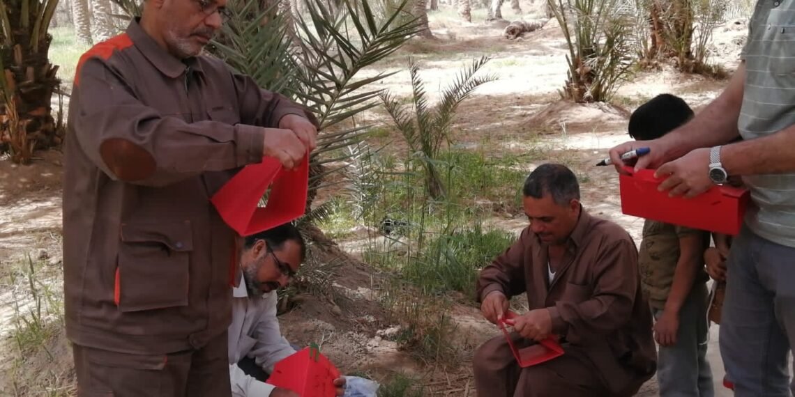 زراعة كربلاء تباشر بتنفيذ حملة مكافحة حشرة الحميرة على النخيل للموسم الزراعي ٢٠٢٢