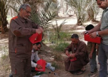 زراعة كربلاء تباشر بتنفيذ حملة مكافحة حشرة الحميرة على النخيل للموسم الزراعي ٢٠٢٢