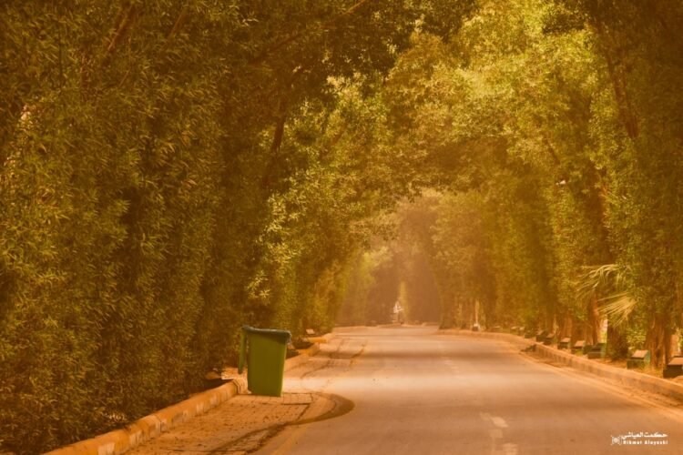 مصّور كربلائي .. يرسم فوتوغرافياً مشاهد للعاصفة الترابية التي ضربت المحافظة