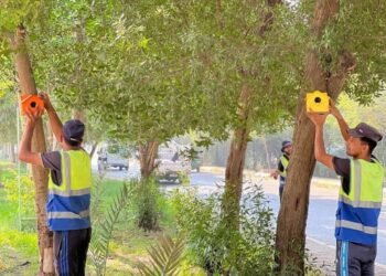 للحفاظ على التوازن البيئي .. بلدية الهنديّة توفر أماكن مخصصة للطيور!