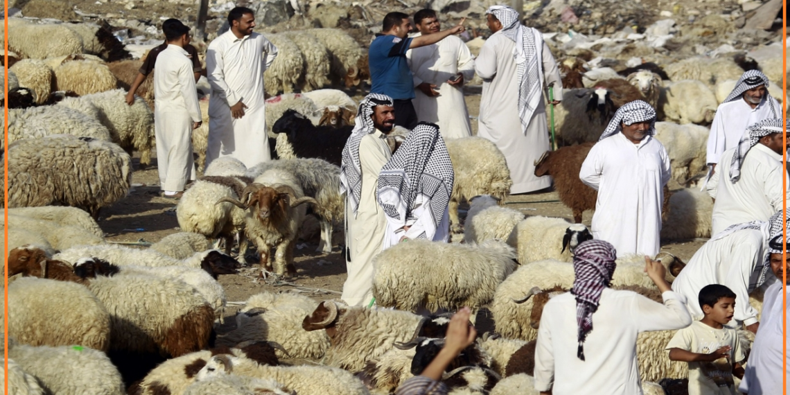 “سوق الاضاحي”.. الزبائن أقل اقبالاً على الشراء هذا العام