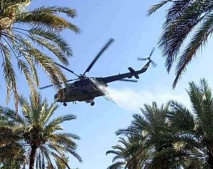 تزامناً مع انطلاق حملة مكافحة حشرة الدوباس.. جمعية نحالي كربلاء التخصصية تطلق تحذيراً لمربي النحل