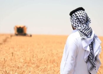 زراعة كربلاء: بلغت المساحة المزروعة بالحنطة في المحافظة اكثر من (٢٠٠) الف دونم