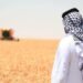 زراعة كربلاء: بلغت المساحة المزروعة بالحنطة في المحافظة اكثر من (٢٠٠) الف دونم