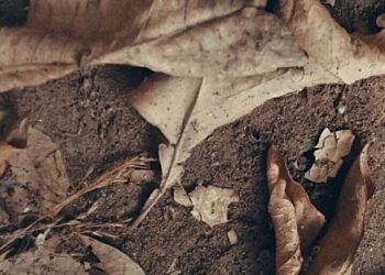 مرض العصر …الإصابة بالاكتتاب وتأثيره على مجرى حياتنا