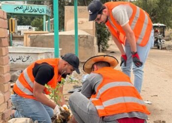 رابطة تشجير مقبرة وادي السلام: نجحنا في زراعة الورد الجهنمي في المقبرة