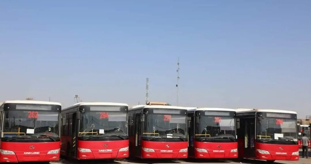 مجلس محافظة كربلاء: نعمل على فكرة إعادة الباصات الحمراء الحكومية في المحافظة
