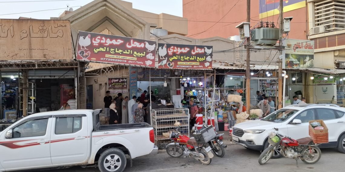 الدجاج بدلا من اللحوم.. تخوف بسبب انتشار النزفية في كركوك