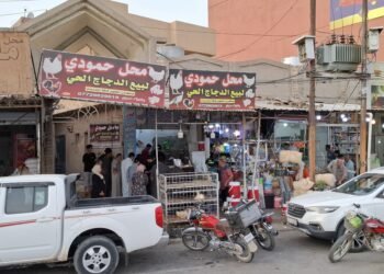 الدجاج بدلا من اللحوم.. تخوف بسبب انتشار النزفية في كركوك