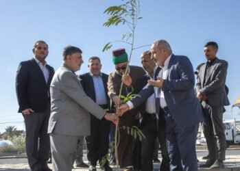 استعدادًا لزيارة الأربعين المقبلة.. العتبة العباسية تطلق حملة لتشجير طريق (يا حسين) بين النجف وكربلاء