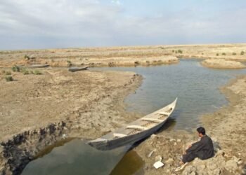 انخفاض الايرادات المائية في بابل بنسبة 75%.. فلاحون تركوا مهنتهم ومناطقهم وباعوا مواشيهم